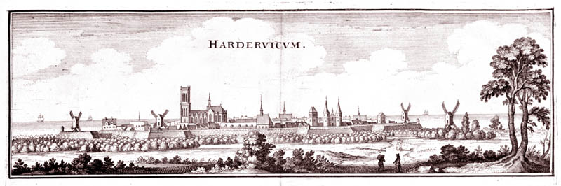 Gezicht op Harderwijk 1641 Merian